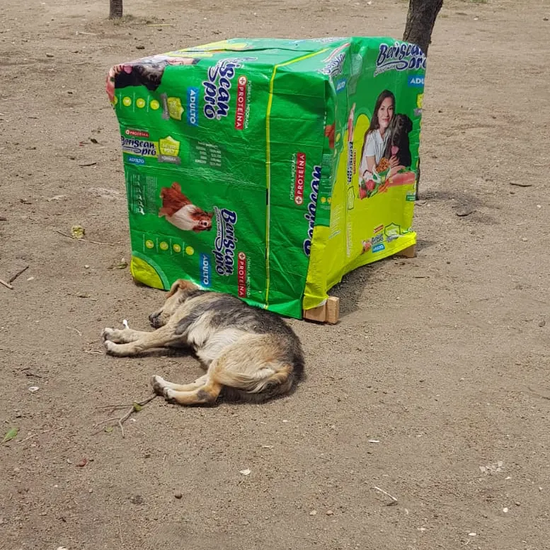 Construimos casitas para perros