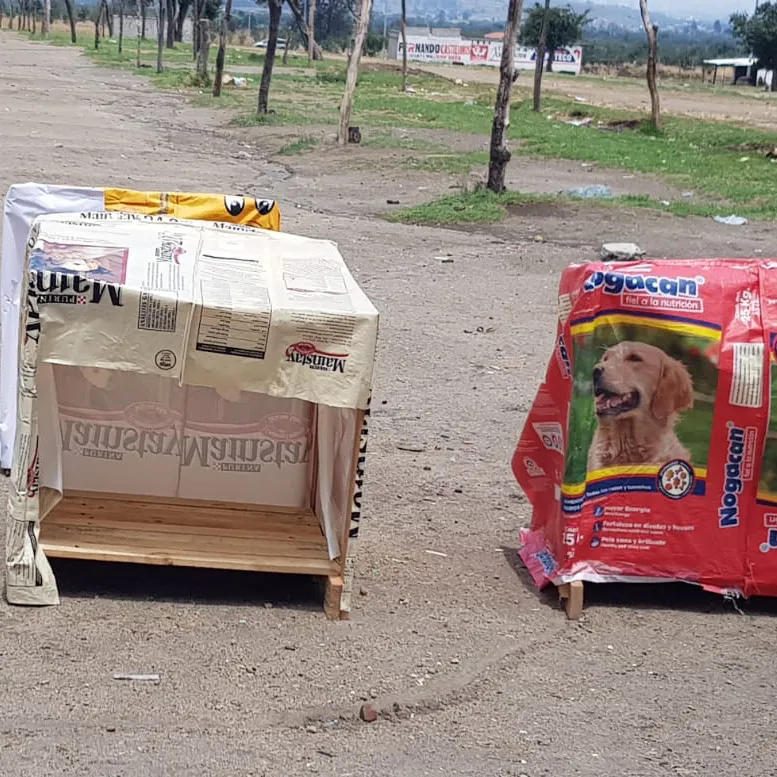 Construimos casitas para perros
