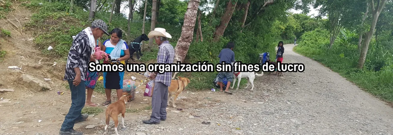 Organización sin fines de lucro